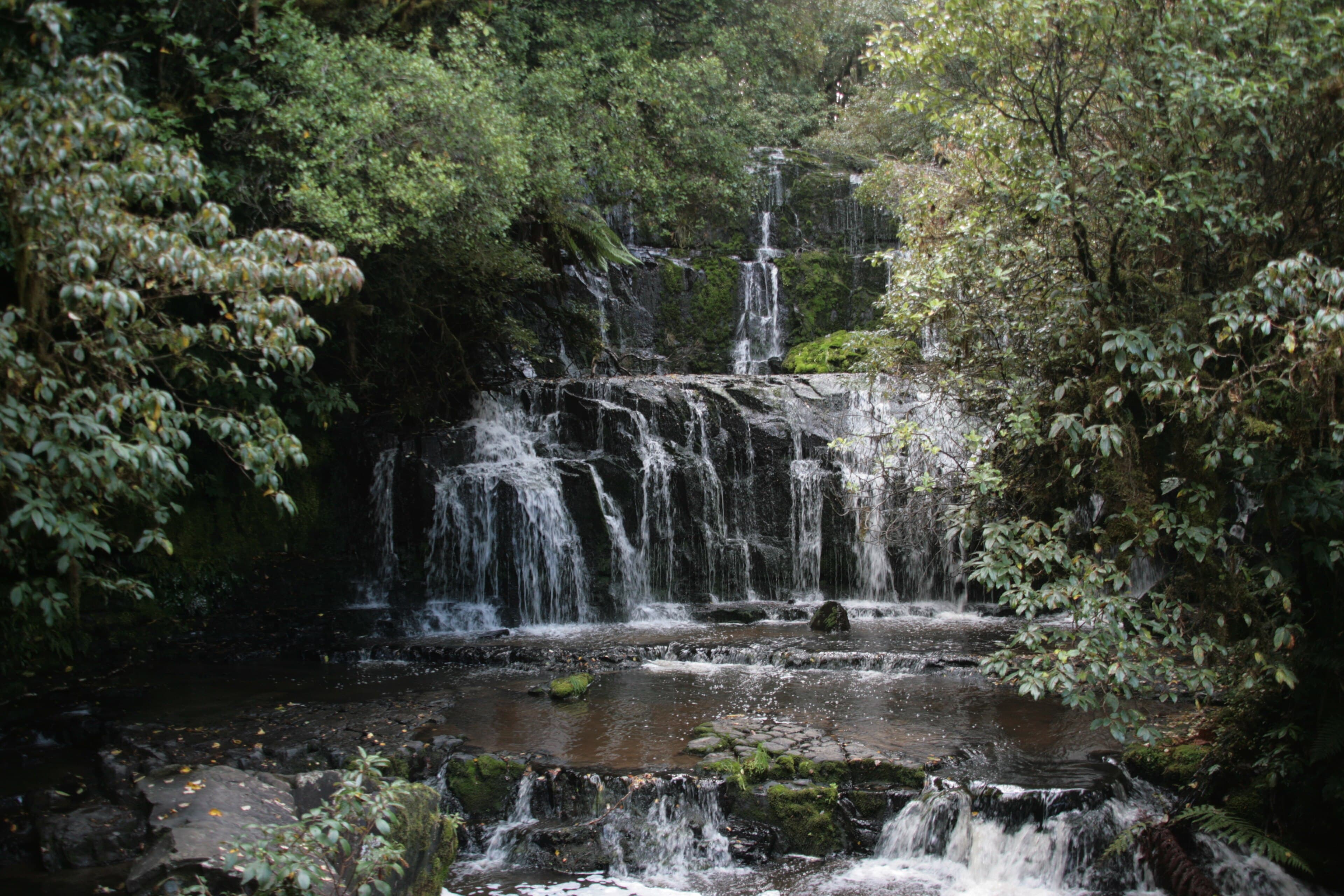 Purakaunui Falls cascading through forest in the Catlins